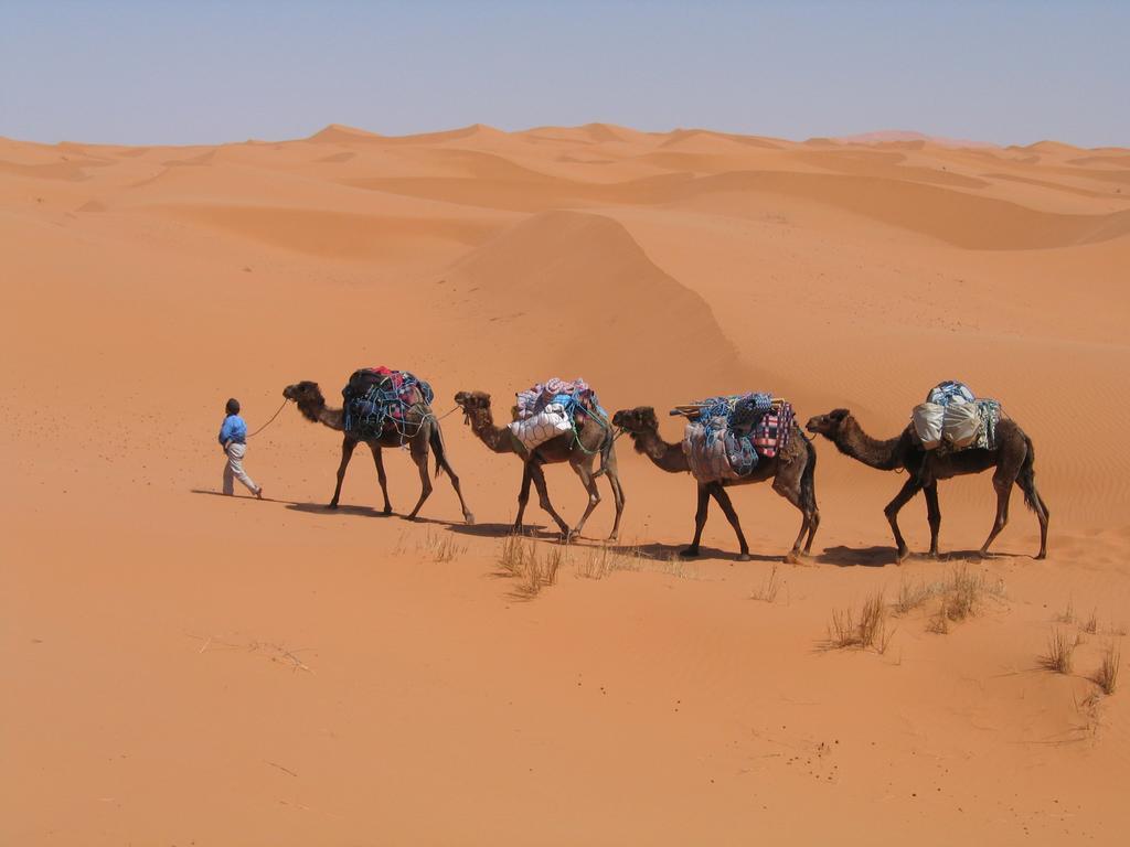 Hotel Camel Trek Bivouac Merzouga Habitación foto