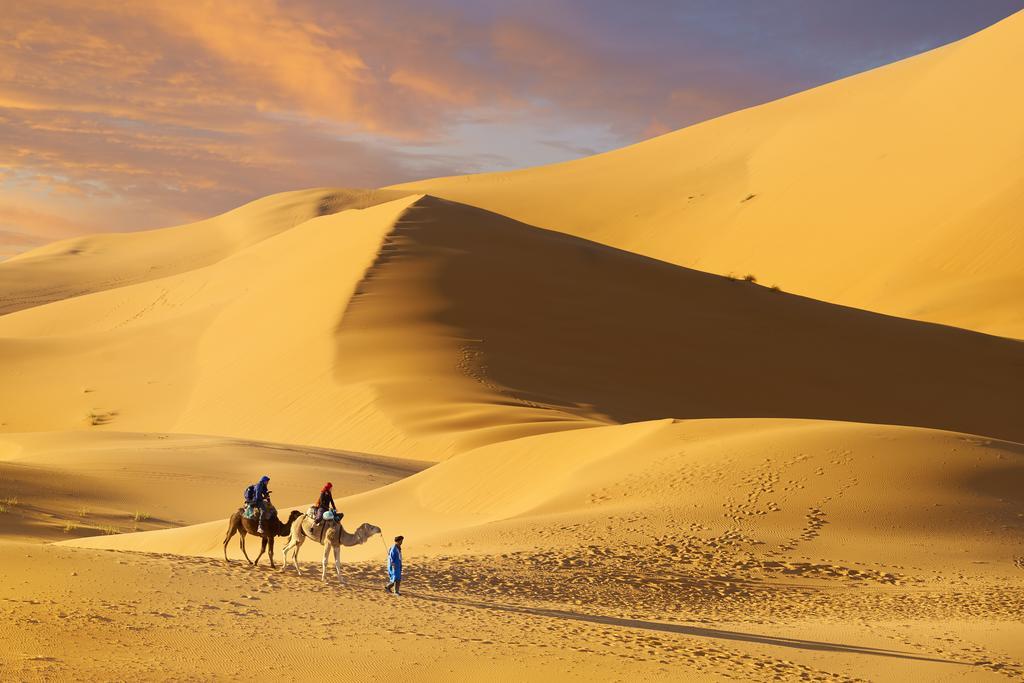Hotel Camel Trek Bivouac Merzouga Habitación foto